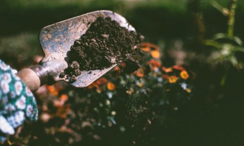 Gartenarbeit als Lifestyle: Warum es sich lohnt, mehr Zeit im Garten zu verbringen