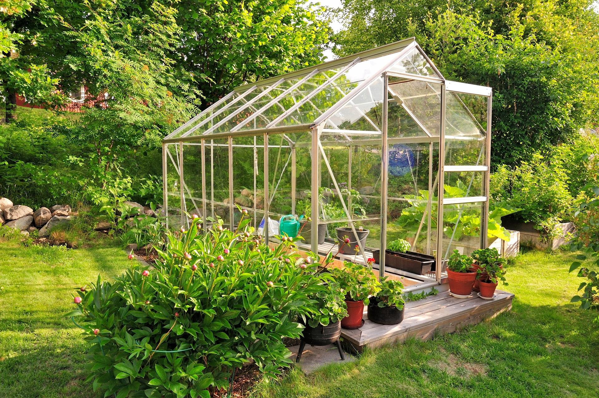 Glasgewächshaus im sommerlichen Garten | Ersatzplatten Gewächshaus