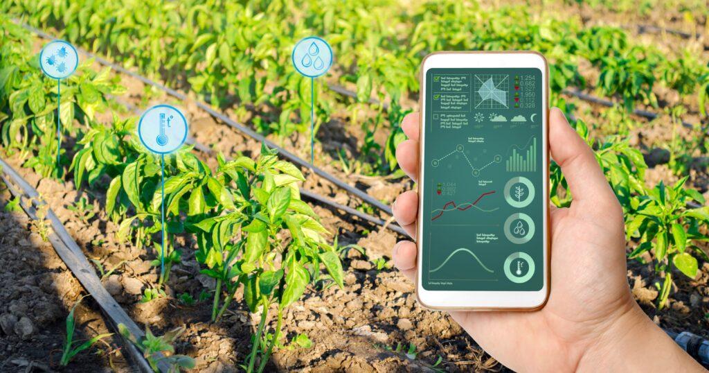 Smartphone zeigt digitale Steuerung der Tropfbewaesserung im Garten in Verbindung mit einer Regenwassernutzungsanlage