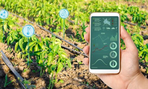 Technik trifft Natur: Die besten Tools für einen effizienten Garten